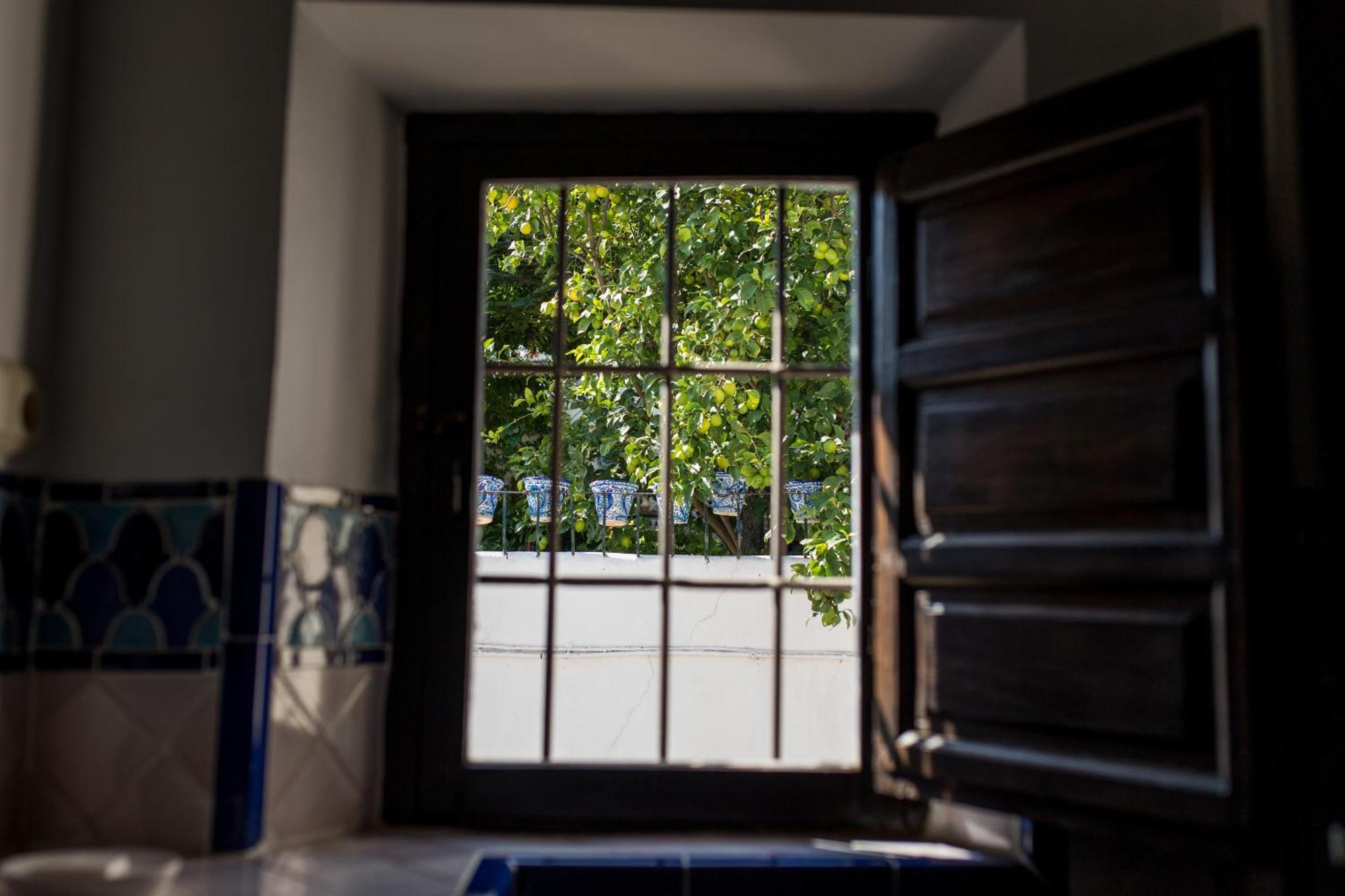 Casa Arte Y Suenos Apartment กรานาดา ภายนอก รูปภาพ